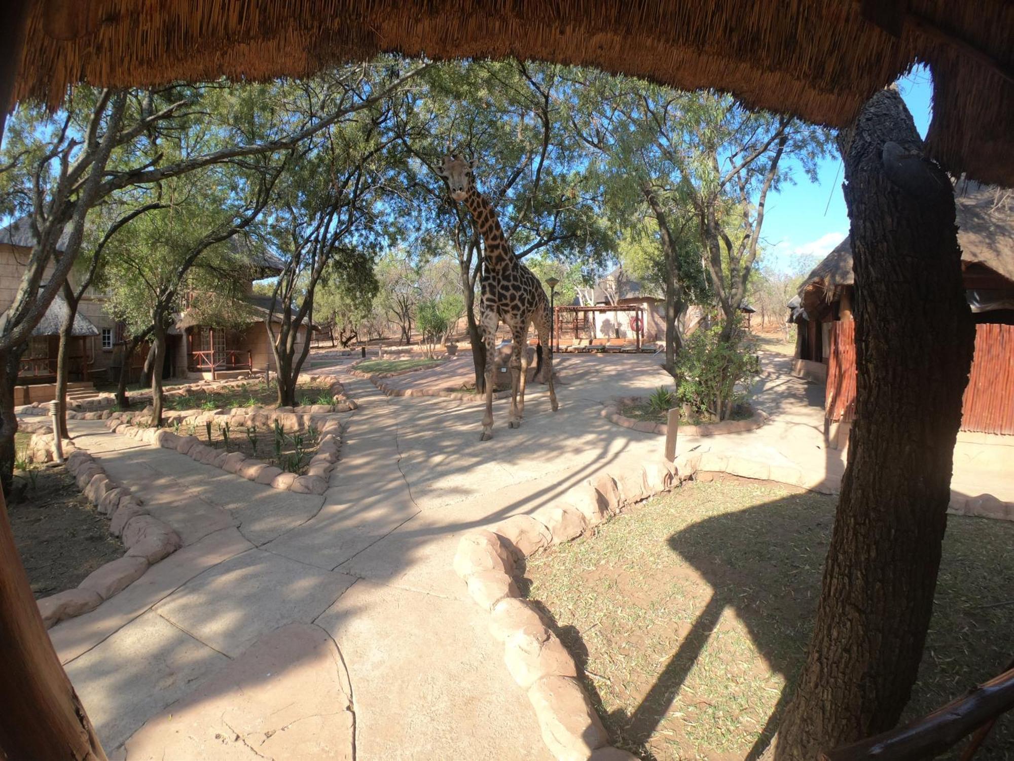 Zebra Nature Reserve Кълинан Стая снимка